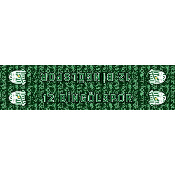 12 BİNGÖLSPOR SATEN ATKI